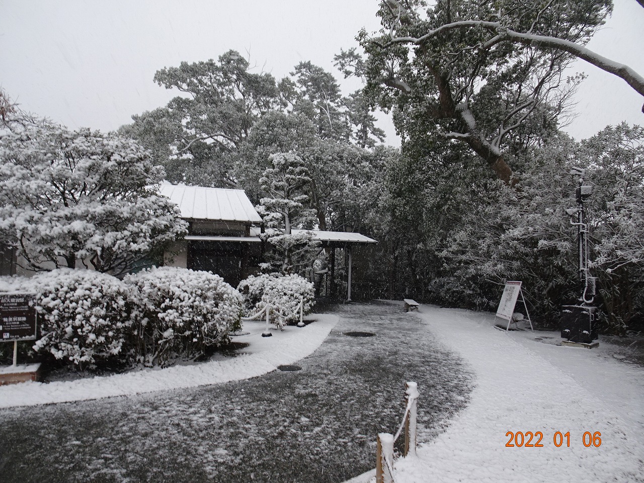 雪景色