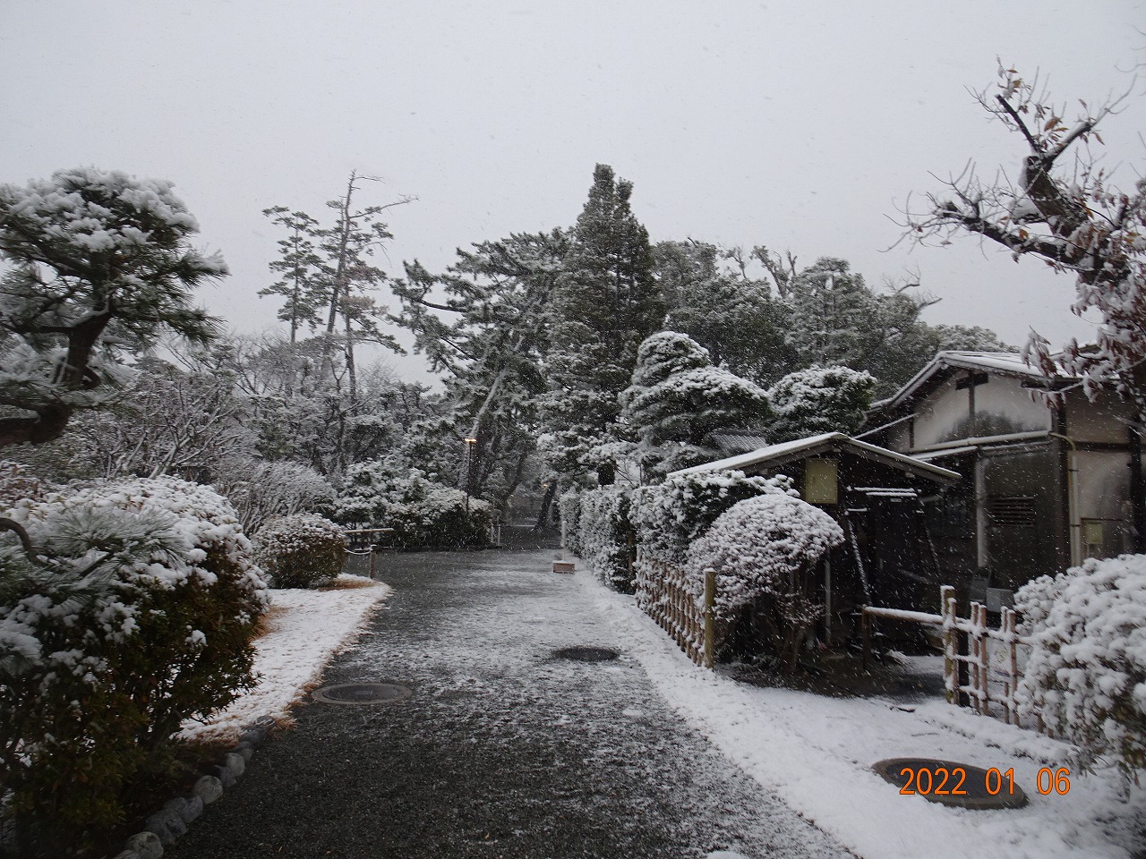 雪景色